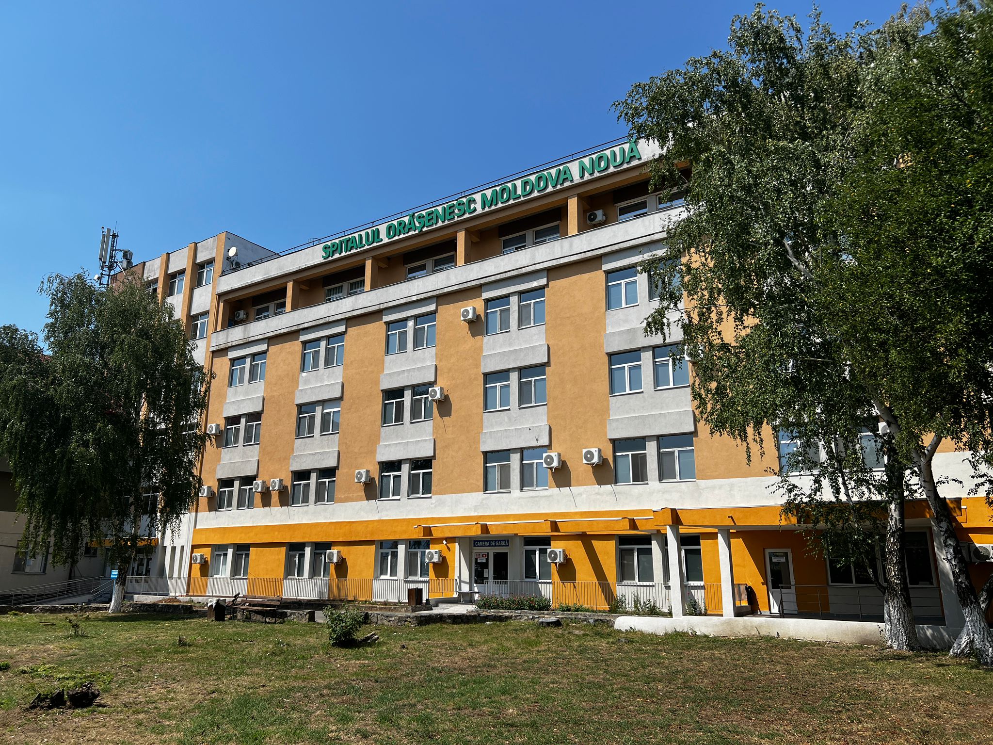 WhatsApp Image 2025-07-25 at 12.05.42 (1).jpeg